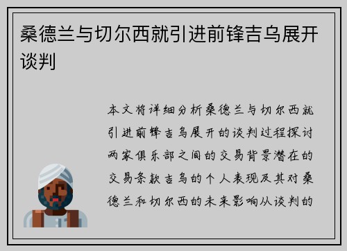 桑德兰与切尔西就引进前锋吉乌展开谈判 桑德兰与切尔西就引进前锋吉乌展开谈判